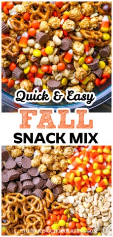 Fall Sweet & Salty Snack Mix