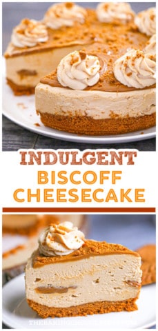 Easy No Bake Biscoff Cheesecake