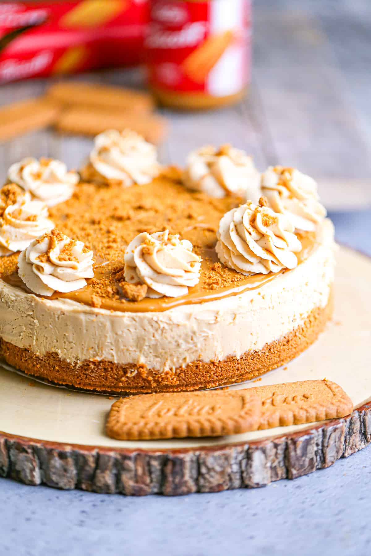 easy no bake biscoff cheesecake recipe 