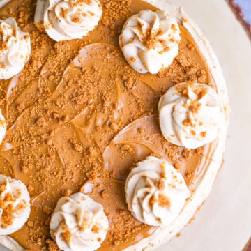 Easy No Bake Biscoff Cheesecake