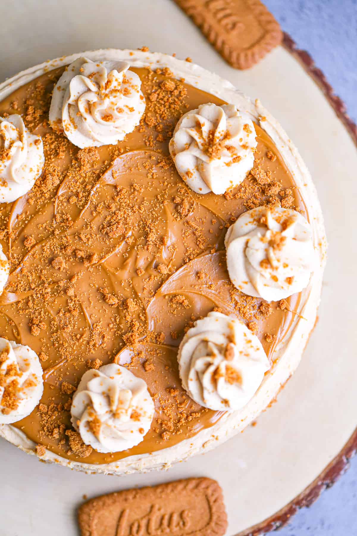 Easy No Bake Biscoff Cheesecake