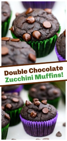 Chocolate Zucchini Muffins