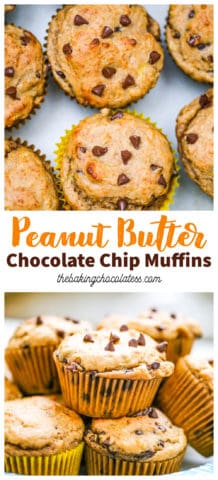 Peanut Butter Chocolate Chip Muffins