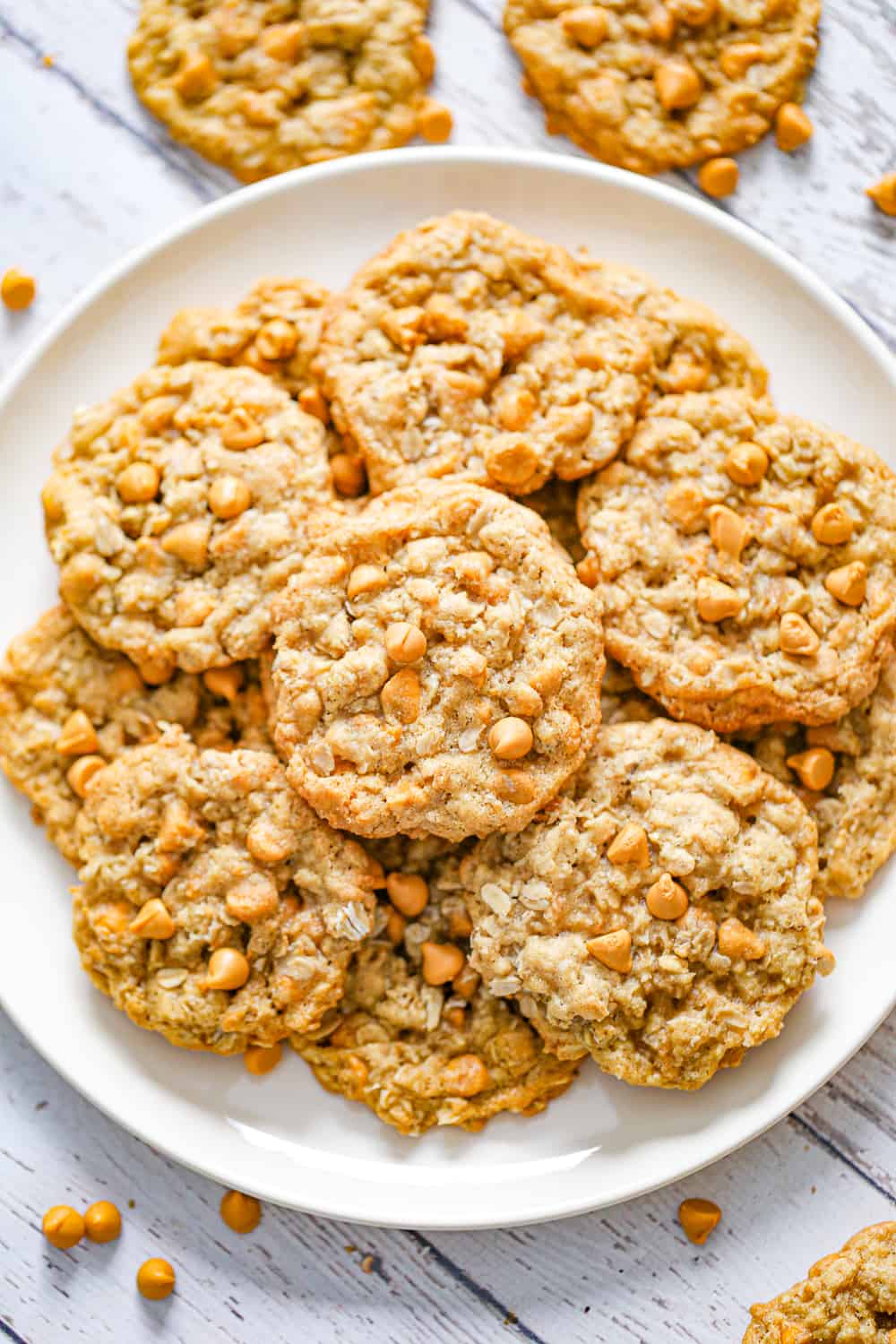 plateful of butterscotch oatmeal cookies