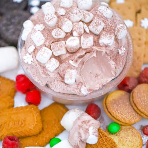 Light & Fluffy Hot Cocoa Dip