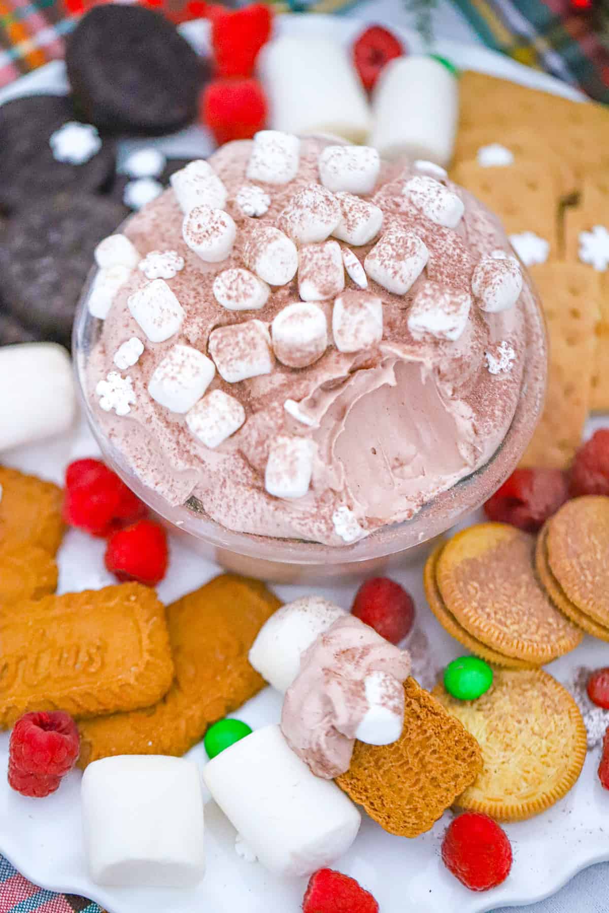 hot cocoa dip with chocolate chips on top