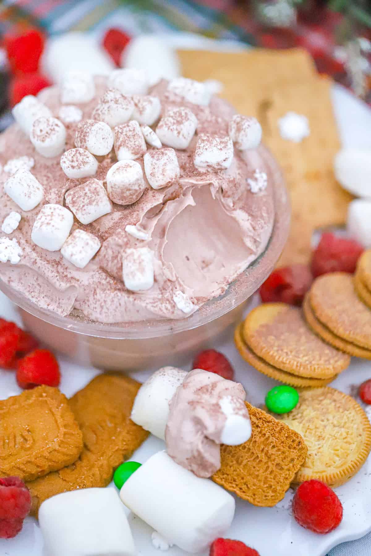 Light & Fluffy Hot Cocoa Dip