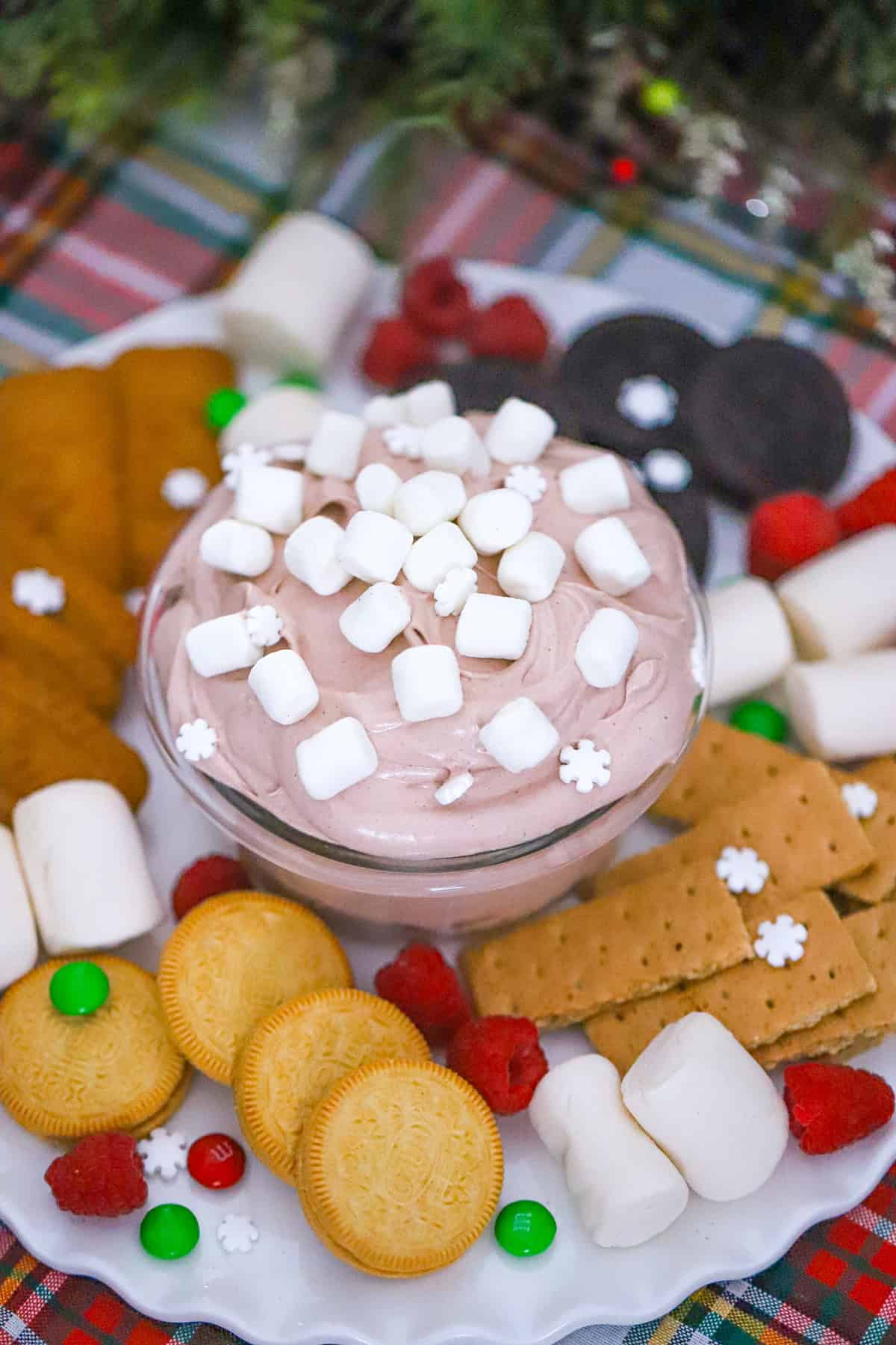 ingredients for hot cocoa dip