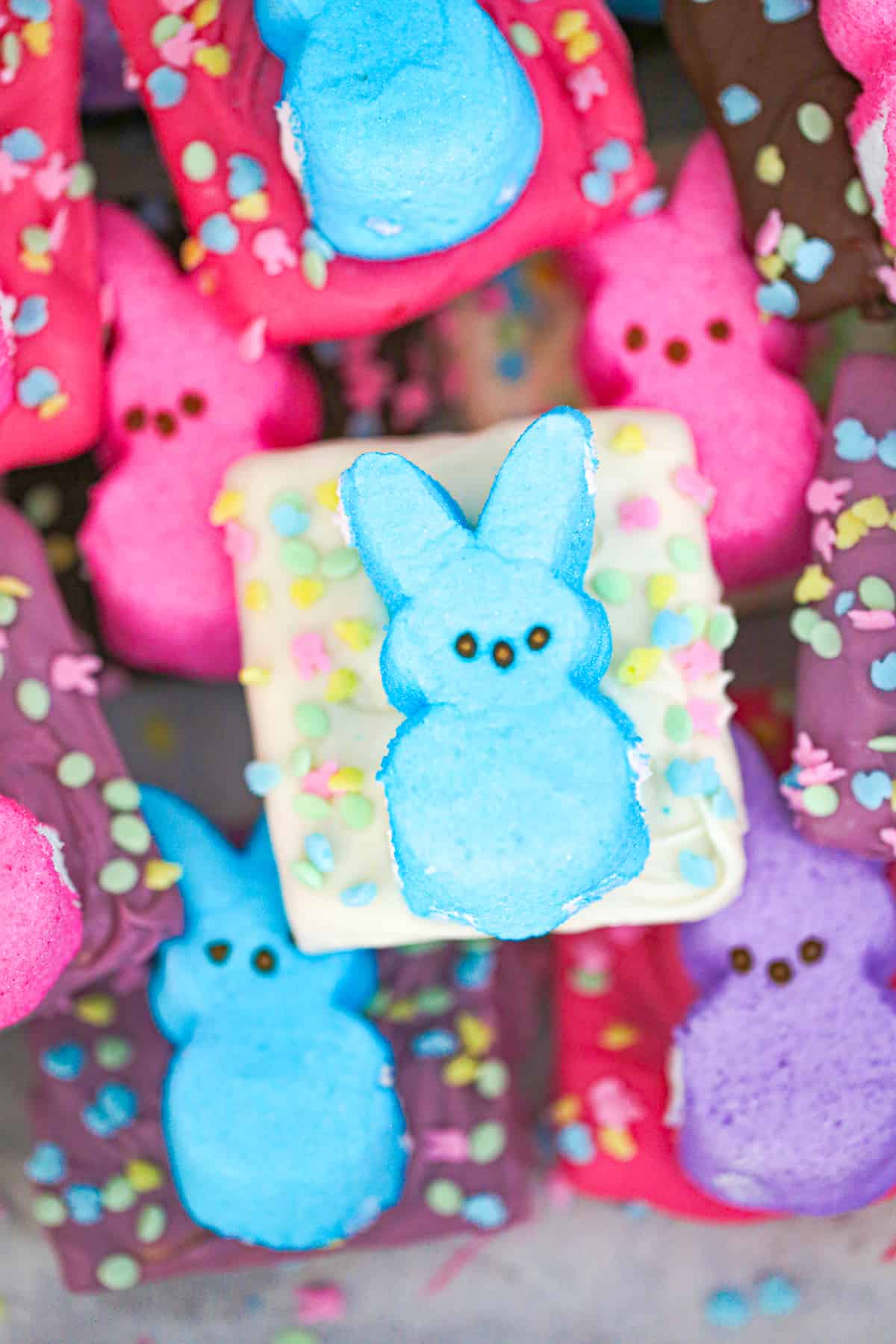 Easter Peep Chocolate Covered Graham Crackers