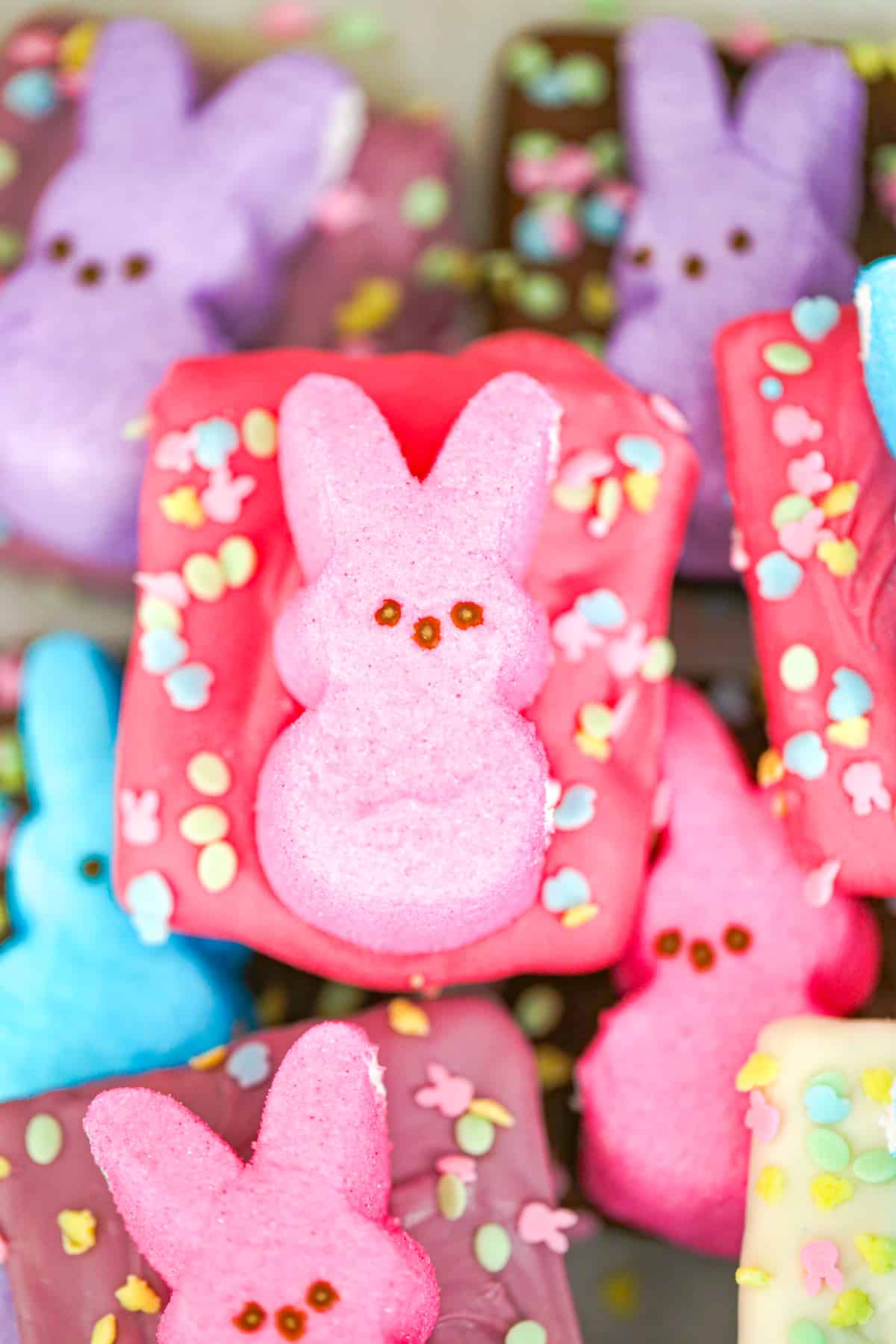 Easter Peep Chocolate Covered Graham Crackers