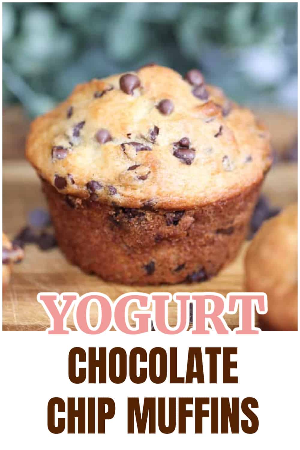 Healthy CHOCOLATE CHIP YOGURT MUFFINS