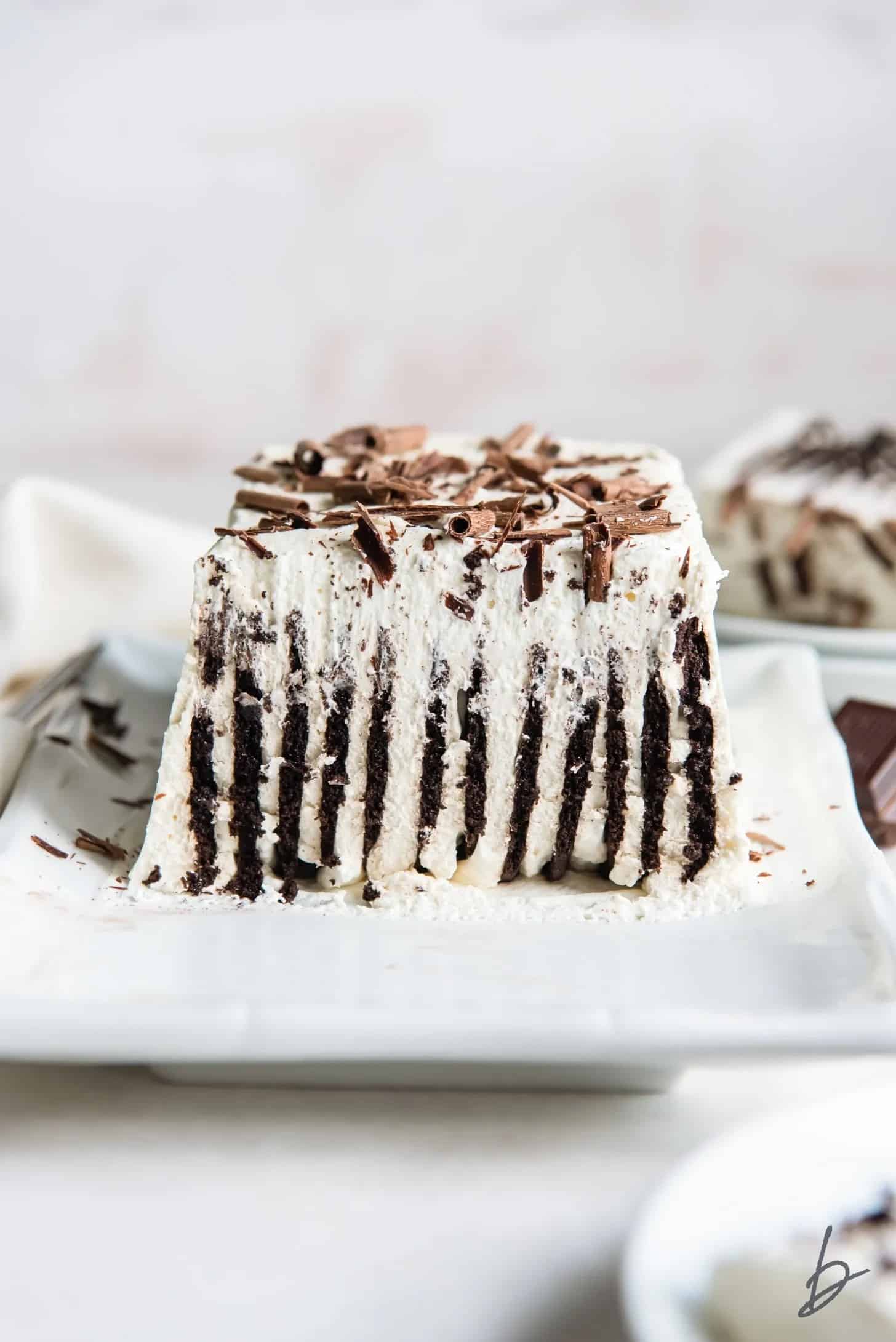 CAKE WITH CHOCOLATE