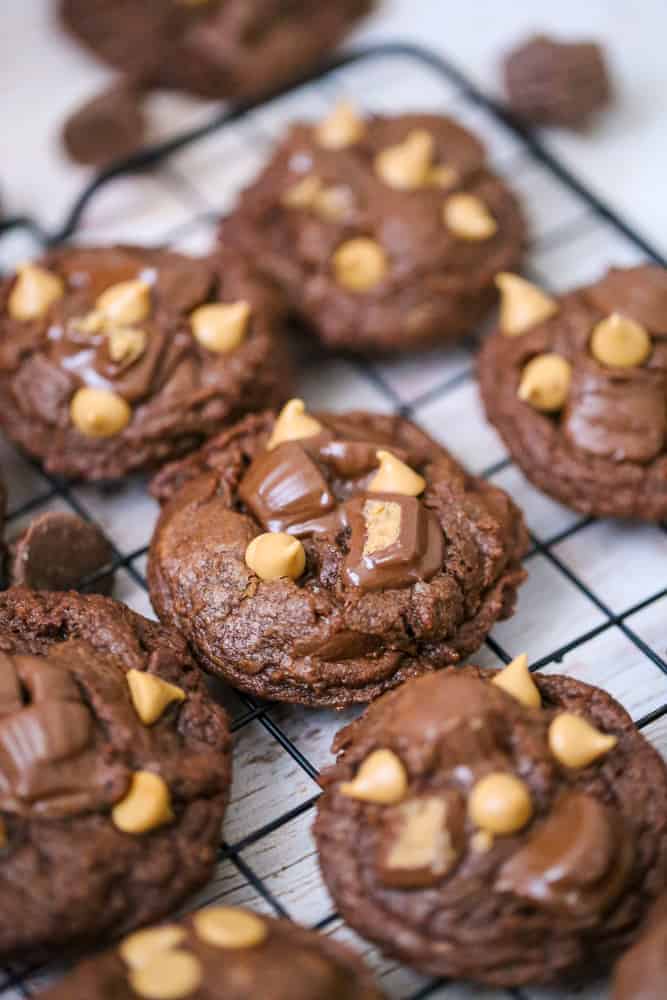 Peanut Butter Cup Chocolate Cookies