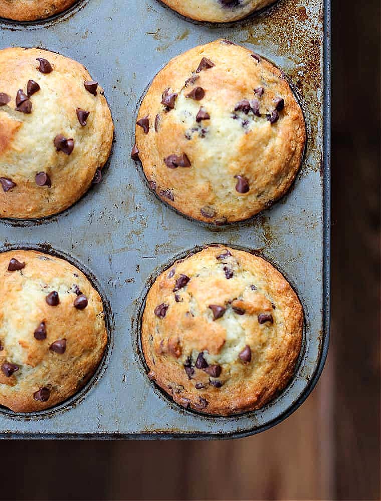 greek yogurt chocolate chip muffins