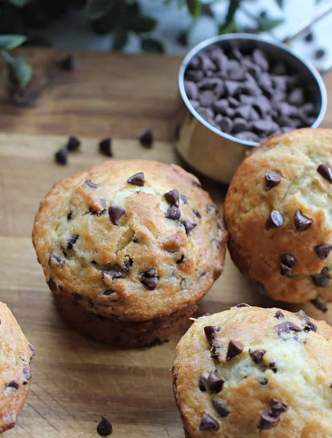 Chocolate Chip Yogurt Muffins {Bakery Style}