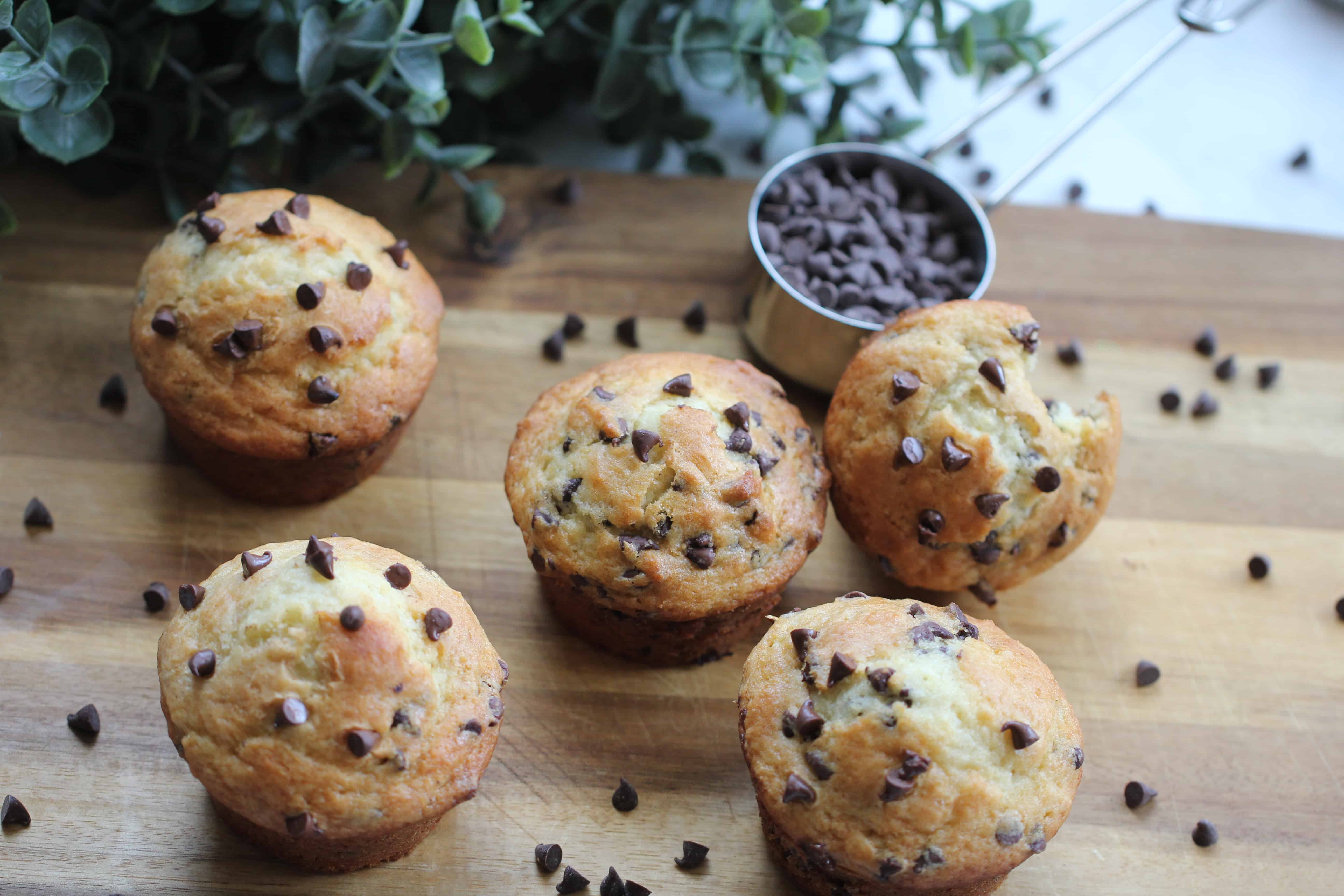 greek yogurt chocolate chip muffins