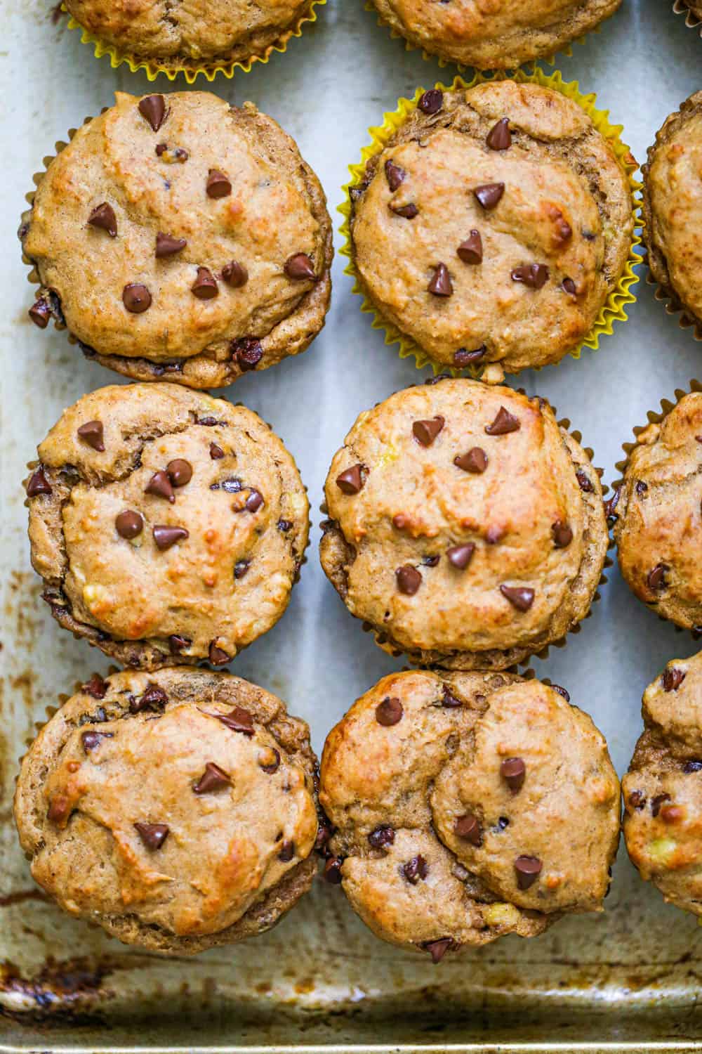 Peanut Butter Chocolate Chip Muffins