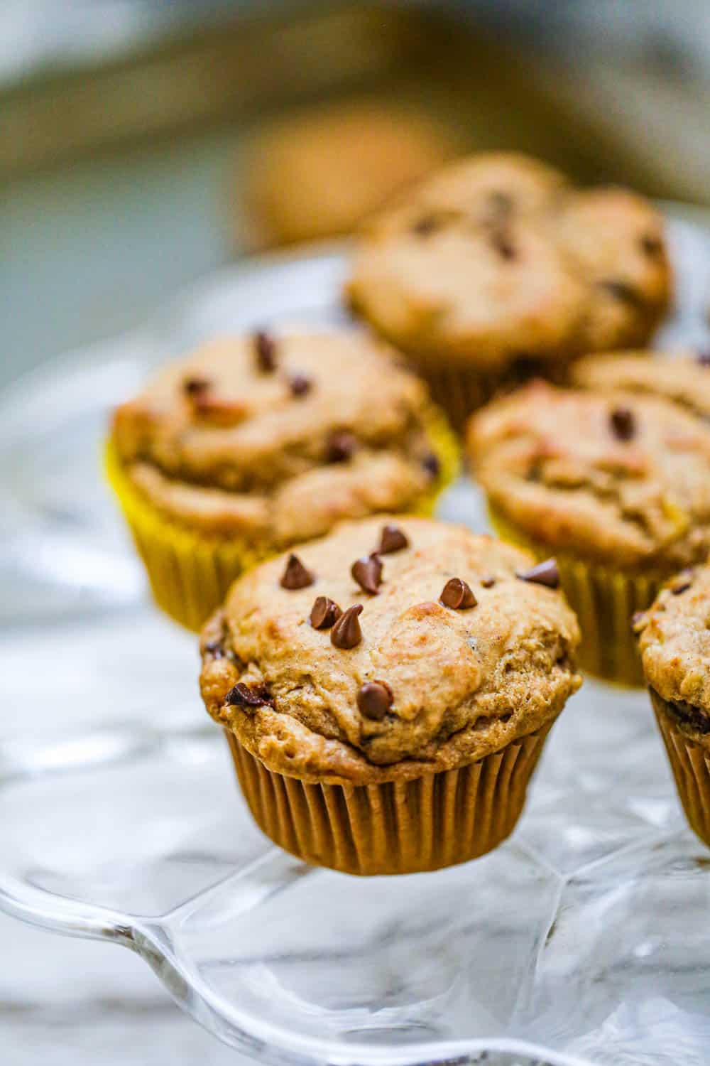 peanut butter chocolate chip muffin recipe