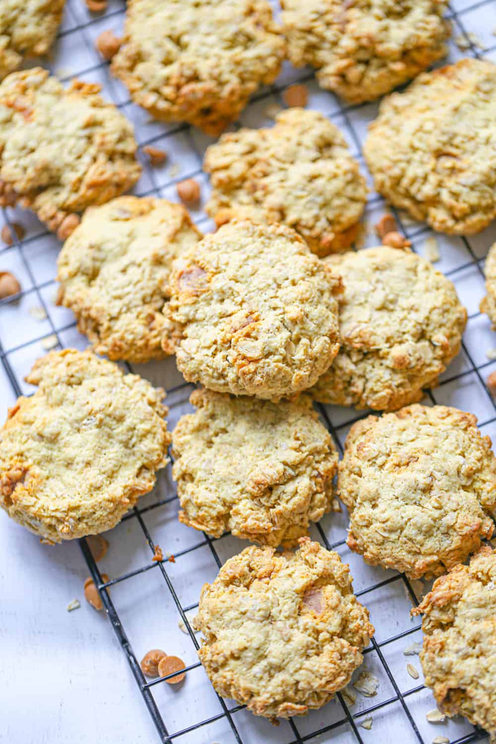Sugar-Free Oatmeal Cookies with Butterscotch Chips