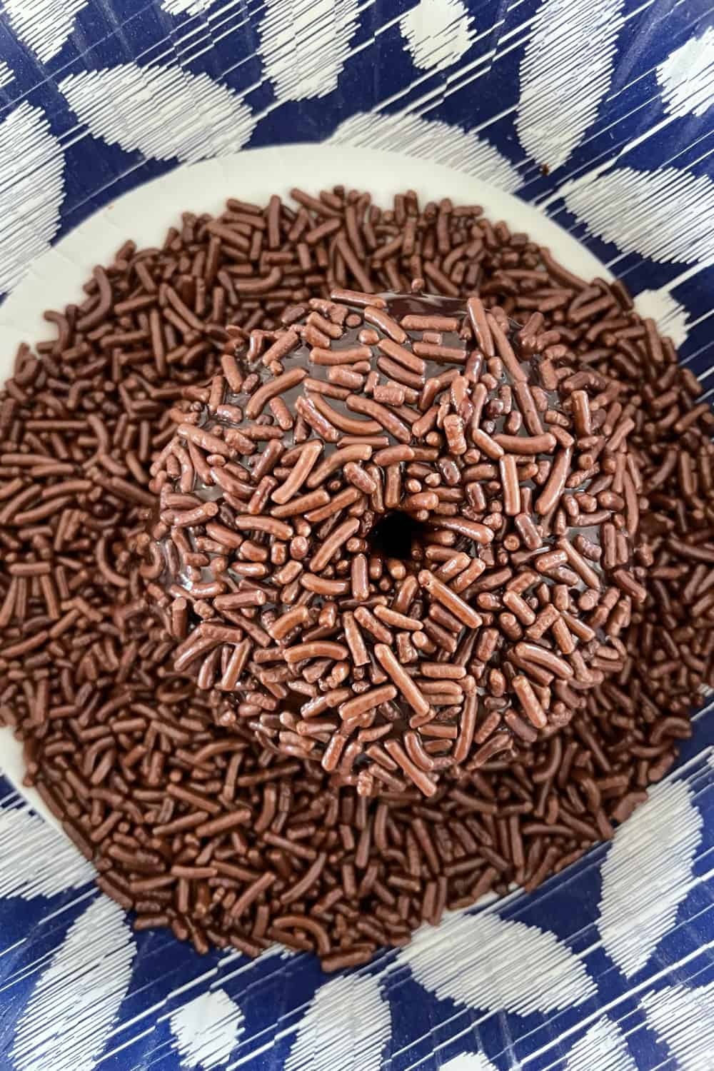 Fun Chocolate Sprinkle Donuts