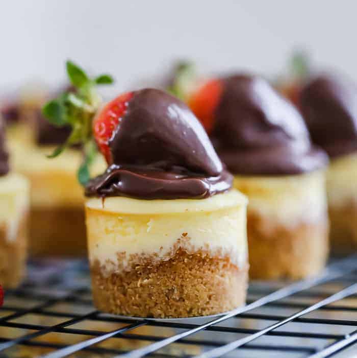 Mini Cheesecakes for Any Occasion!