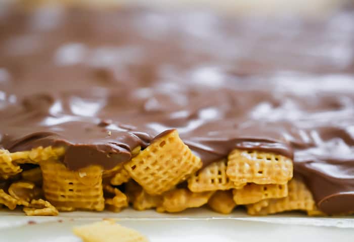 OMG Honey Chex Chocolate Peanut Butter Bars - No-Bake - GF