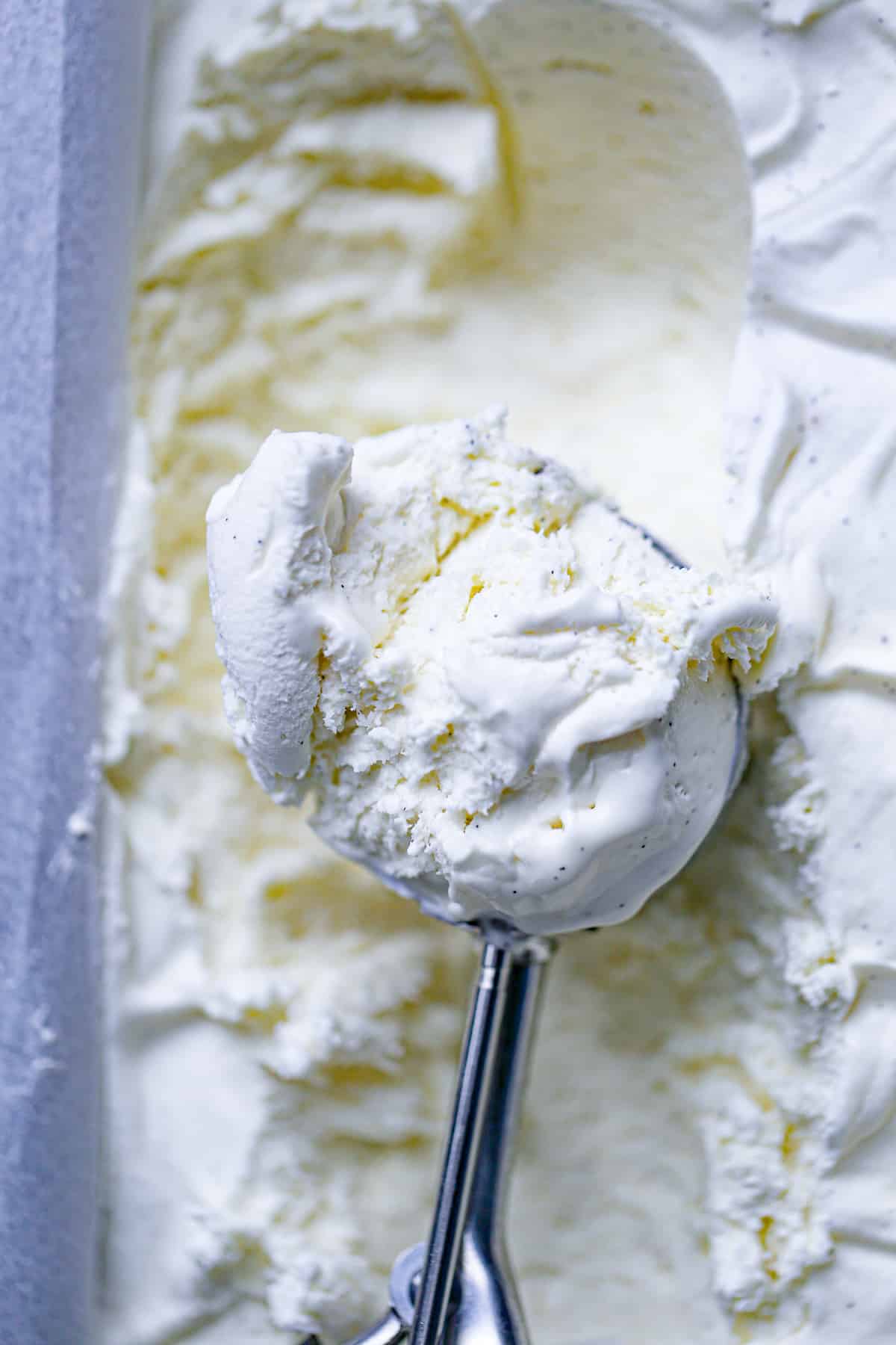 No Churn Vanilla Bean Ice Cream