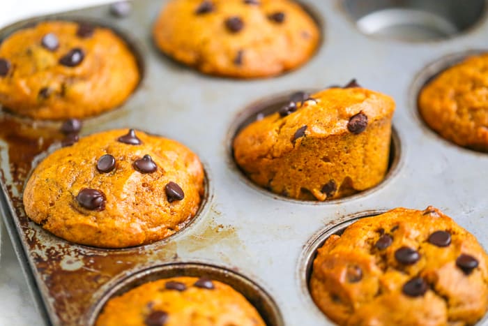 pumpkin chocolate chip muffins