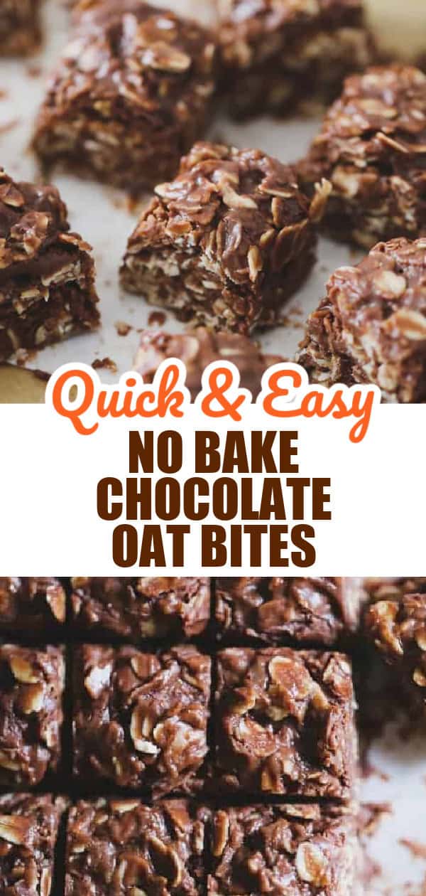  NO BAKE CHOCOLATE OAT BITES