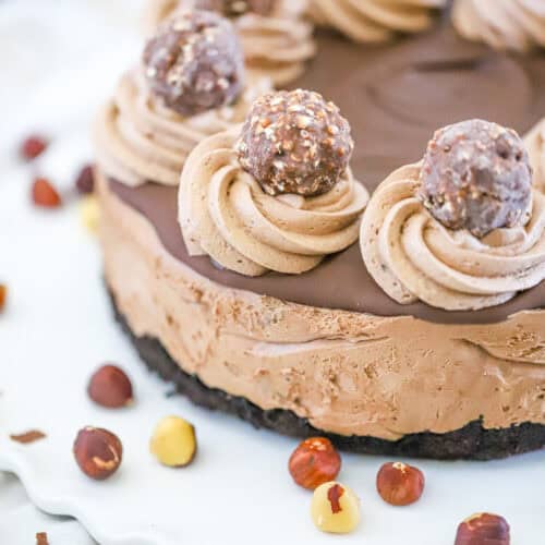 Nutella NO BAKE CHEESECAKE