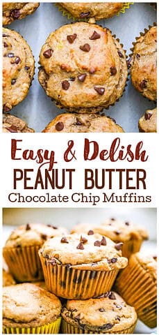 peanut butter Chocolate Chip Muffins