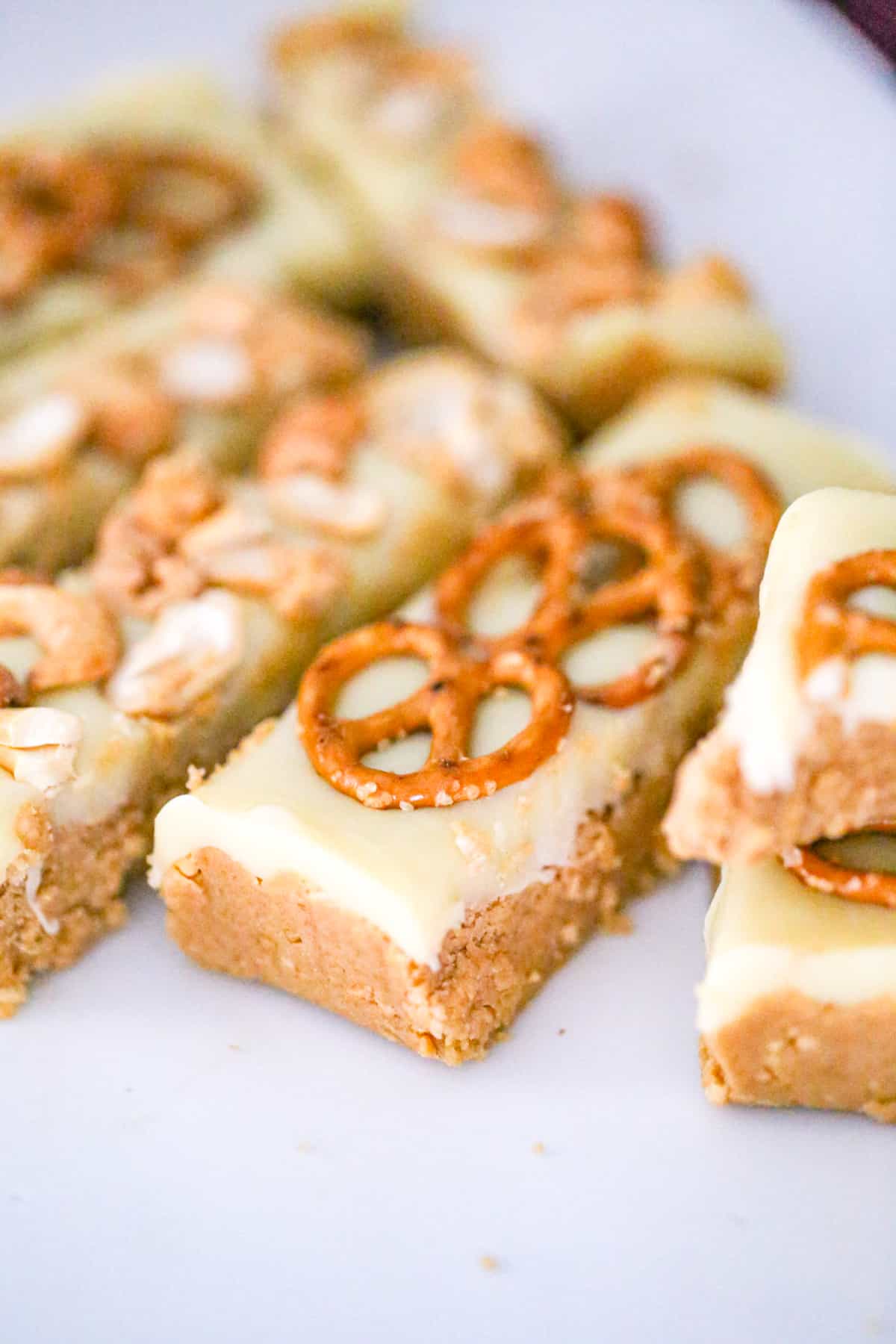 Chocolate Peanut Butter Protein Bars - No Bake