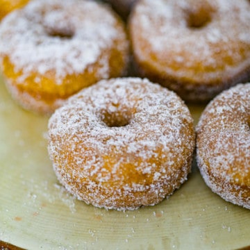 best pumpkin cake donuts with cinnamon sugar