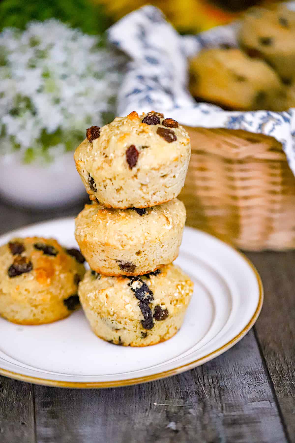 RAISIN OATMEAL MUFFINS