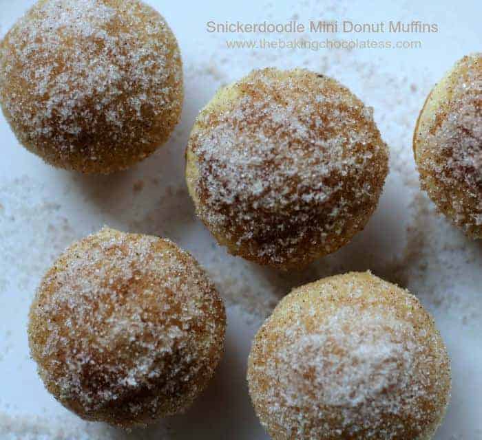 Snickerdoodle Mini Donut Muffins