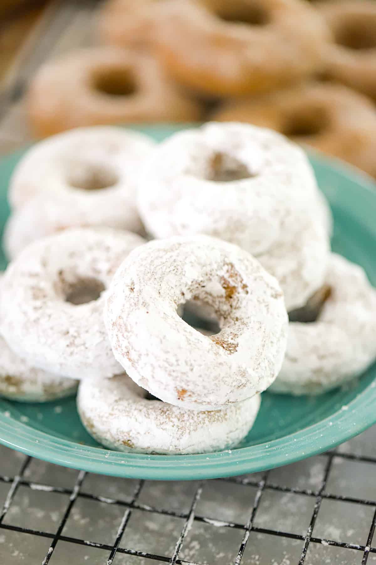 Spice Cake Donuts