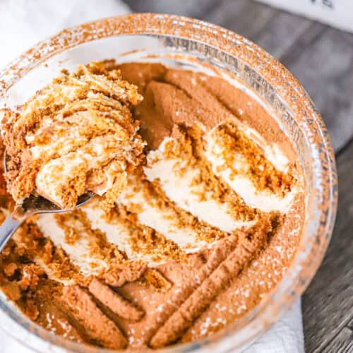 Japanese Yogurt Cheesecake