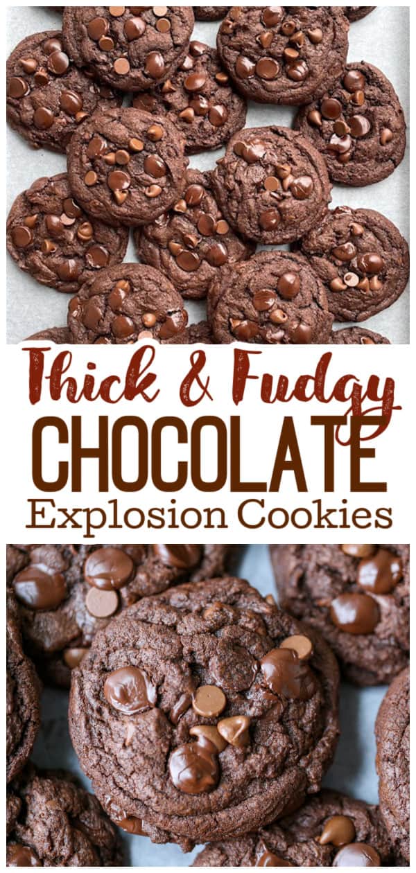 thick chocolate cookies