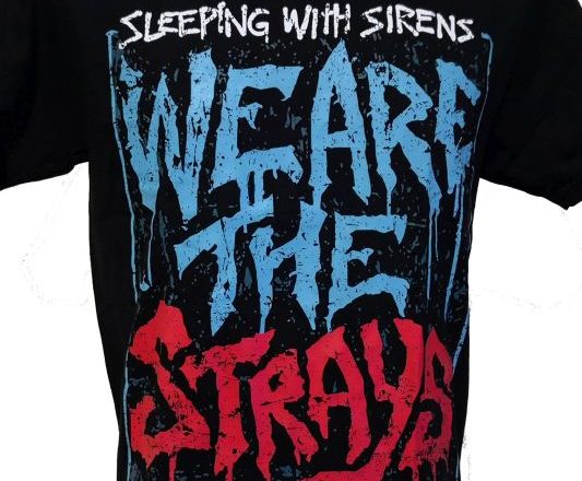 From Fans to Collectors: Building Your Sleeping With Sirens Merchandise Empire